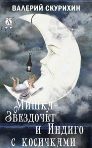 бесплатно читать книгу Мишка-звездочет и индиго с косичками автора Валерий Скурихин