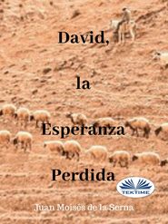 бесплатно читать книгу David, La Esperanza Perdida автора Serna Moisés De La Juan