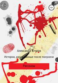 бесплатно читать книгу Истории, рассказанные после полуночи автора Александр Егоров