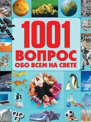 бесплатно читать книгу 1001 вопрос обо всем на свете автора Татьяна Шереметьева