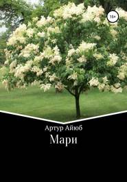 бесплатно читать книгу Мари автора Артур Айюб