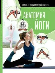 бесплатно читать книгу Анатомия йоги автора Наталья Степук