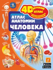 бесплатно читать книгу Атлас анатомии человека автора Анна Спектор