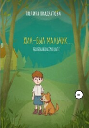 бесплатно читать книгу Жил-был мальчик автора Полина Квадратова