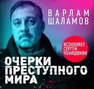 бесплатно читать книгу Очерки преступного мира автора Варлам Шаламов