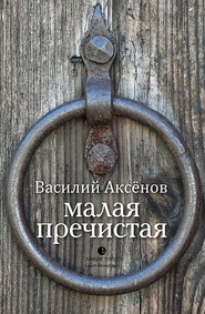 бесплатно читать книгу Малая Пречистая автора Василий Аксенов