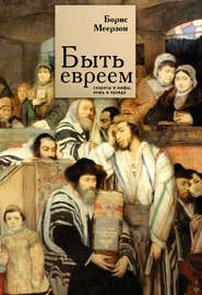 бесплатно читать книгу Быть евреем: секреты и мифы, ложь и правда автора Борис Меерзон