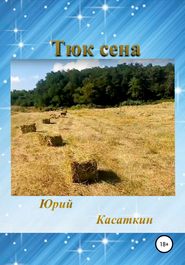 бесплатно читать книгу Тюк сена автора Юрий Касаткин