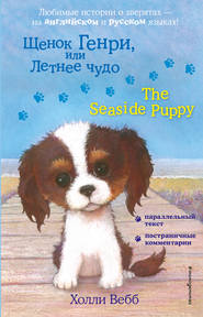 бесплатно читать книгу Щенок Генри, или Летнее чудо / The Seaside Puppy автора Холли Вебб