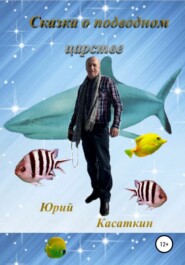 бесплатно читать книгу Сказка о подводном царстве автора Юрий Касаткин