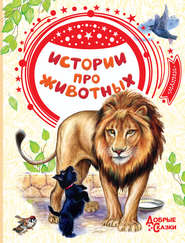бесплатно читать книгу Истории про животных автора Алексей Толстой