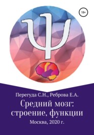 бесплатно читать книгу Средний мозг: строение и функции автора Сергей Перегуда