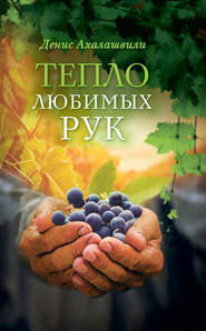 бесплатно читать книгу Тепло любимых рук автора Денис Ахалашвили