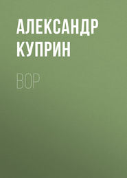 бесплатно читать книгу Вор автора Александр Куприн