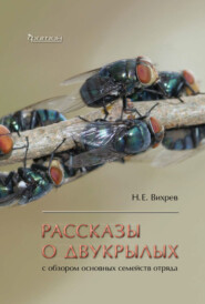 бесплатно читать книгу Рассказы о двукрылых с обзором основных семейств отряда автора Никита Вихрев