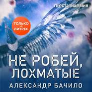 бесплатно читать книгу Не робей, лохматые! автора Александр Бачило
