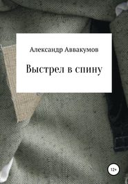бесплатно читать книгу Выстрел в спину автора Александр Аввакумов