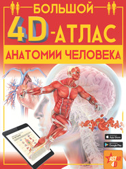 бесплатно читать книгу Большой 4D-атлас анатомии человека автора Анна Спектор