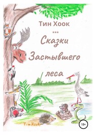 бесплатно читать книгу Сказки Застывшего леса автора  Тин Хоок
