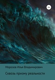 бесплатно читать книгу Сквозь призму реальности автора Илья Морозов
