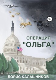 бесплатно читать книгу Операция «Ольга» автора Борис Калашников
