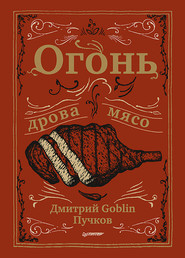 бесплатно читать книгу Огонь, дрова, мясо автора Дмитрий Пучков