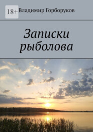 бесплатно читать книгу Записки рыболова автора Владимир Горборуков