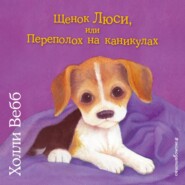 бесплатно читать книгу Щенок Люси, или Переполох на каникулах автора Холли Вебб