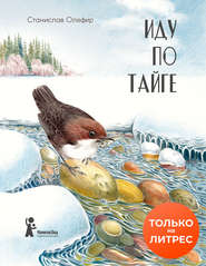 бесплатно читать книгу Иду по тайге автора Станислав Олефир