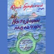 бесплатно читать книгу Настоящий мальчик. Рассказы о Ростике и его друзьях автора Юрий Буковский