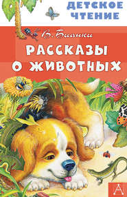бесплатно читать книгу Рассказы о животных автора Виталий Бианки
