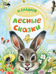бесплатно читать книгу Лесные сказки автора Николай Сладков