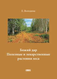 бесплатно читать книгу Божий дар. Полезные и лекарственные растения леса автора Е. Володина