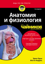 бесплатно читать книгу Анатомия и физиология для чайников автора Мэгги Норрис