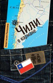 бесплатно читать книгу Чили в кармане автора Анастасия Полосина