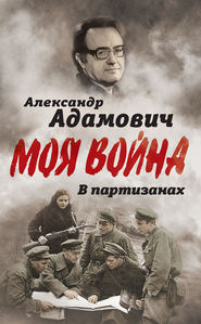 бесплатно читать книгу В партизанах автора Алесь Адамович
