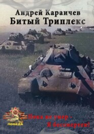 бесплатно читать книгу Битый триплекс. «Пока не умер – я бессмертен!» автора Андрей Караичев