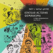 бесплатно читать книгу Краткая история феминизма в евро-американском контексте автора Антье Шрупп