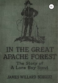 бесплатно читать книгу В Великом лесу апачей автора Джеймс Уиллард Шульц