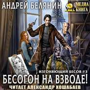 бесплатно читать книгу Бесогон на взводе! автора Андрей Белянин