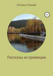 бесплатно читать книгу Рассказы из провинции автора Наталья Усанова