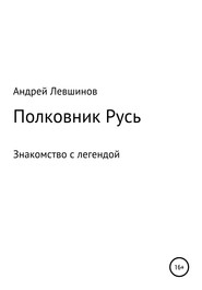 бесплатно читать книгу Полковник Русь автора Андрей Левшинов