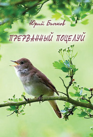 бесплатно читать книгу Прерванный поцелуй автора Юрий Бычков