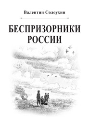 бесплатно читать книгу Беспризорники России автора Валентин Солоухин