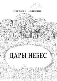 бесплатно читать книгу Дары небес автора Евгений Голянин
