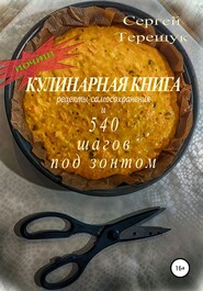 бесплатно читать книгу Почти кулинарная книга с рецептами самосохранения и 540 шагов под зонтом автора Сергей Терещук