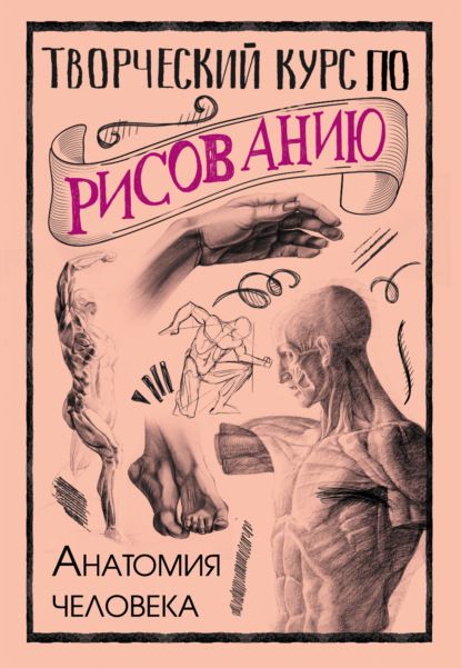 бесплатно читать книгу Творческий курс по рисованию. Анатомия человека автора Мистер Грей