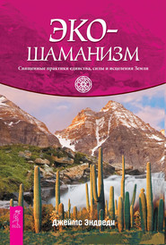 бесплатно читать книгу Экошаманизм. Священные практики единства, силы и исцеления Земли автора Джеймс Эндреди