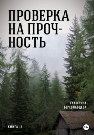 бесплатно читать книгу Проверка на прочность автора Екатерина Береславцева