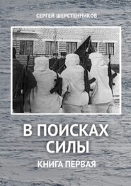 бесплатно читать книгу В поисках силы. Книга первая автора Сергей Шерстенников